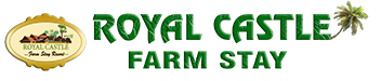 Royal Castle Logo